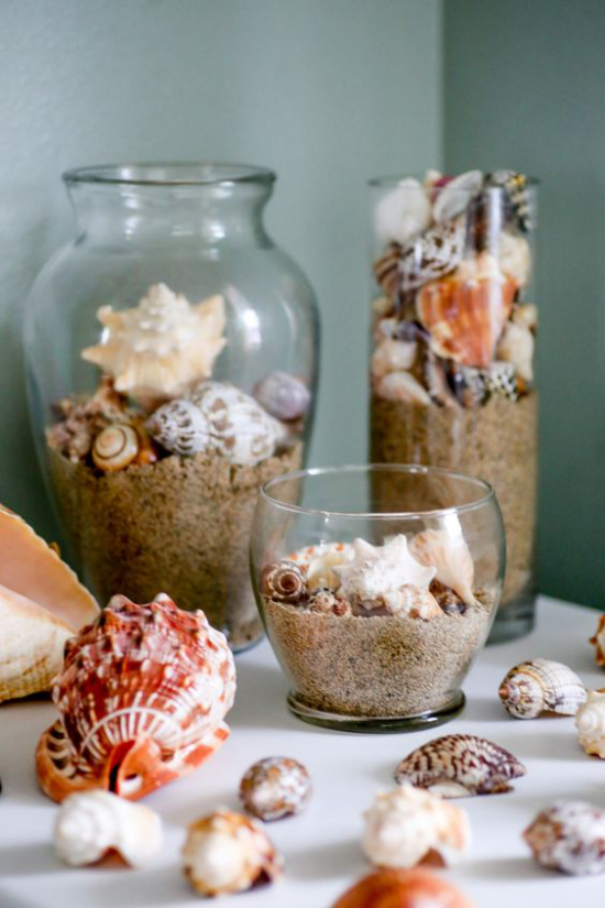 1650462400 68 Summer decoration with shells bring a holiday feeling into - Summer decoration with shells - bring a holiday feeling into your four walls