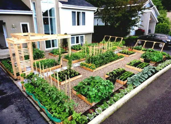 1650467714 679 Create a vegetable bed important tips for gardening in - Create a vegetable bed - important tips for gardening in April