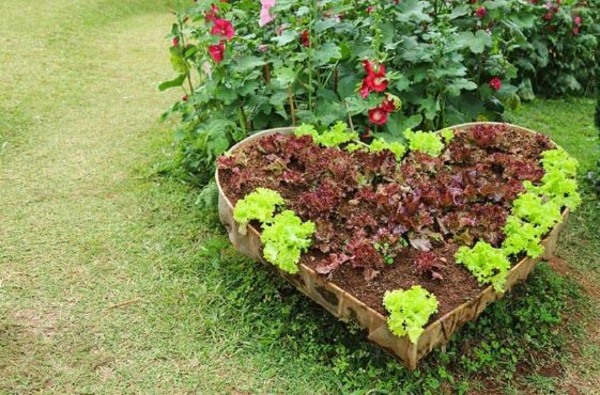 1650467715 922 Create a vegetable bed important tips for gardening in - Create a vegetable bed - important tips for gardening in April
