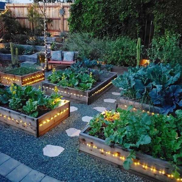 1650467721 362 Create a vegetable bed important tips for gardening in - Create a vegetable bed - important tips for gardening in April