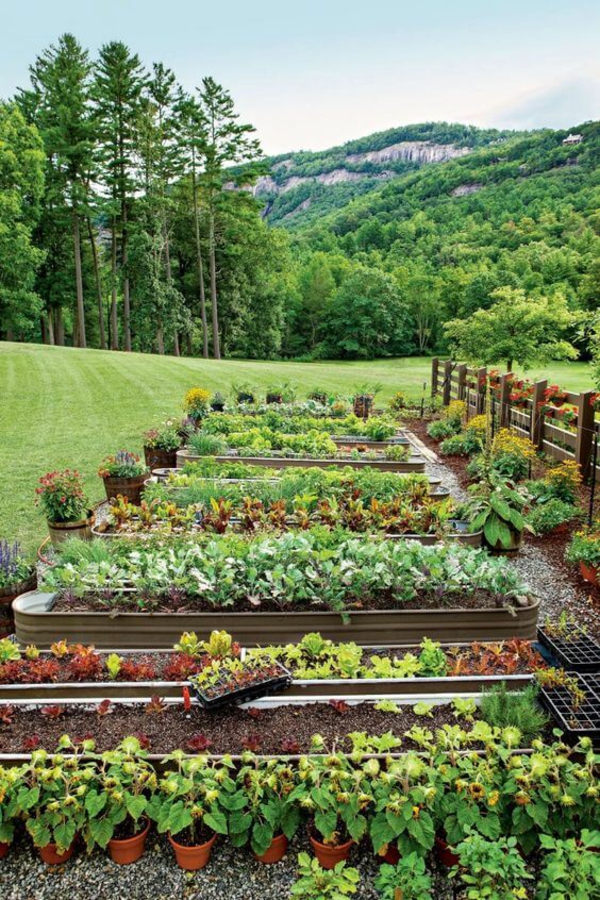 1650467722 578 Create a vegetable bed important tips for gardening in - Create a vegetable bed - important tips for gardening in April
