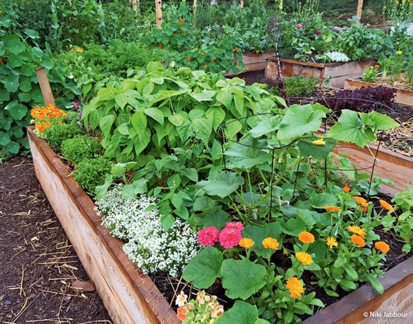 1650467723 691 Create a vegetable bed important tips for gardening in - Create a vegetable bed - important tips for gardening in April