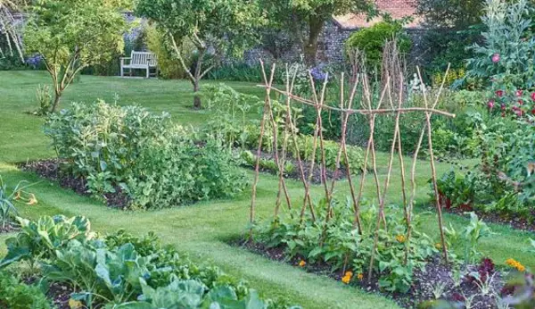 1650467726 75 Create a vegetable bed important tips for gardening in - Create a vegetable bed - important tips for gardening in April