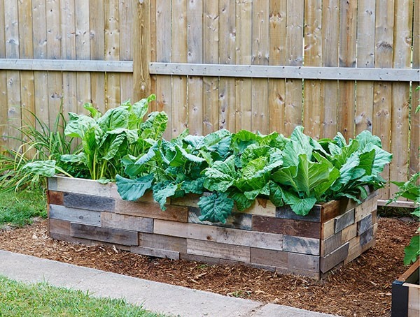 1650467728 715 Create a vegetable bed important tips for gardening in - Create a vegetable bed - important tips for gardening in April
