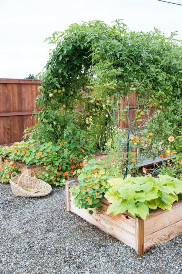 1650467730 744 Create a vegetable bed important tips for gardening in - Create a vegetable bed - important tips for gardening in April