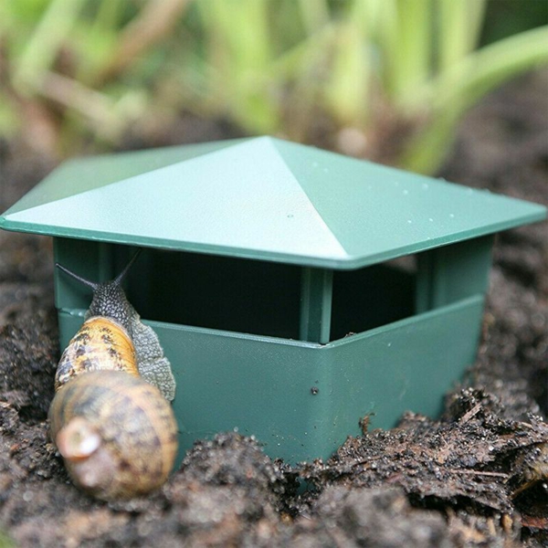 1650558590 425 Fight snails with home remedies the best for your - Fight snails with home remedies - the best for your garden plants