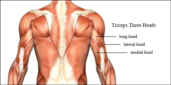 1650790234 772 4 tricep exercises you can do at home - 4 tricep exercises you can do at home