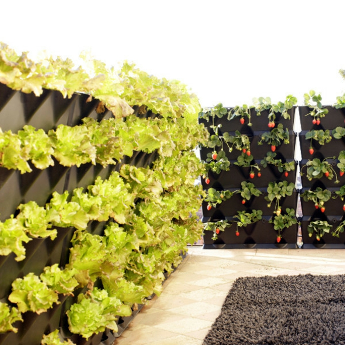 1650825726 597 Green walls create lush vertical gardens for your home - Green walls - create lush, vertical gardens for your home