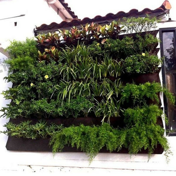 1650825731 925 Green walls create lush vertical gardens for your home - Green walls - create lush, vertical gardens for your home