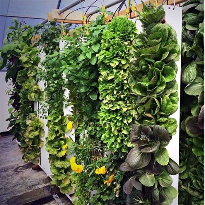 1650825732 275 Green walls create lush vertical gardens for your home - Green walls - create lush, vertical gardens for your home