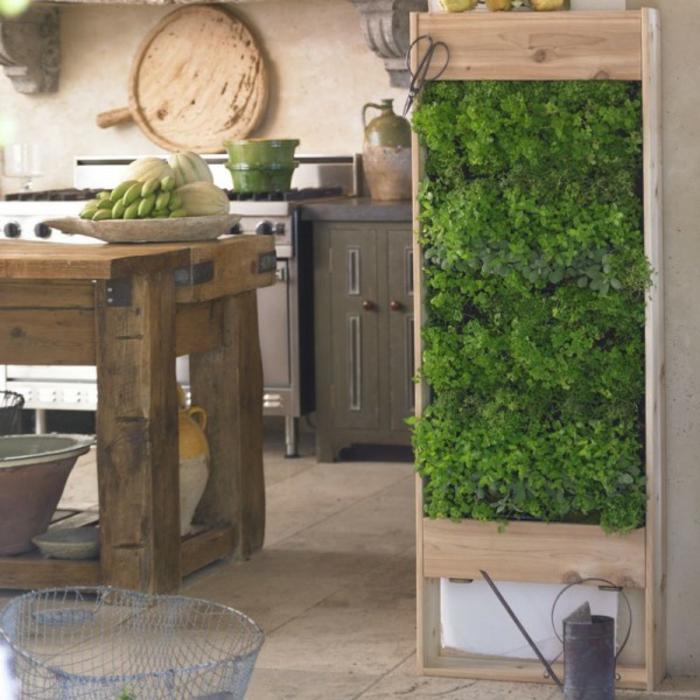 1650825734 885 Green walls create lush vertical gardens for your home - Green walls - create lush, vertical gardens for your home