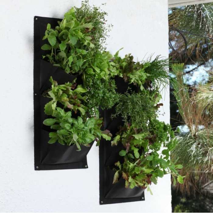 1650825737 136 Green walls create lush vertical gardens for your home - Green walls - create lush, vertical gardens for your home