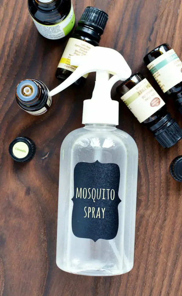1650905333 293 Make mosquito spray yourself 5 completely natural recipes with essential - Make mosquito spray yourself: 5 completely natural recipes with essential oils