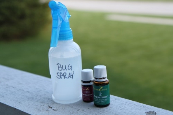1650905336 383 Make mosquito spray yourself 5 completely natural recipes with essential - Make mosquito spray yourself: 5 completely natural recipes with essential oils