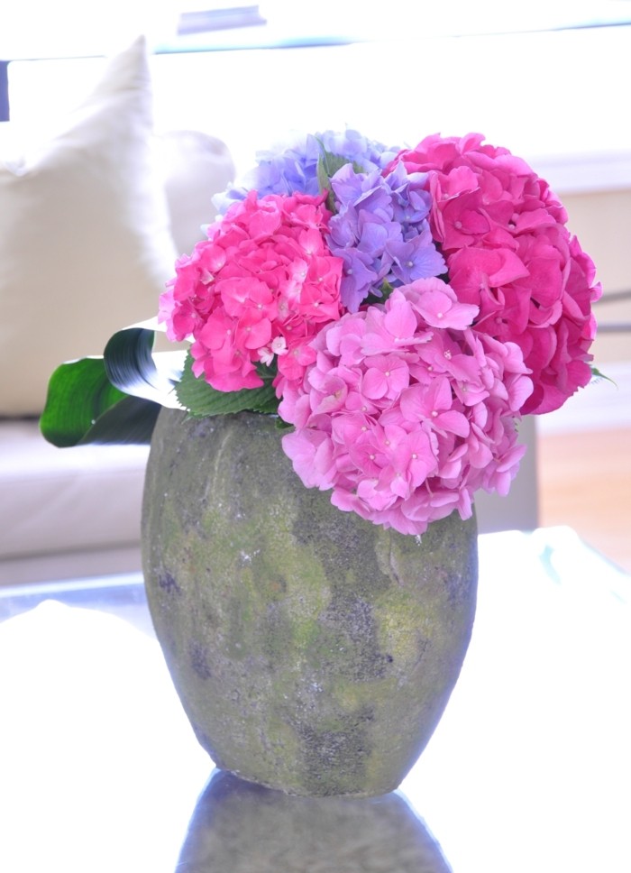 1650973826 879 Hydrangeas the attractive accent in every garden - Hydrangeas - the attractive accent in every garden