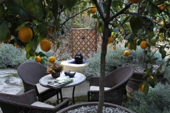 create a mediterranean garden plant ideas seating area rattan garden furniture
