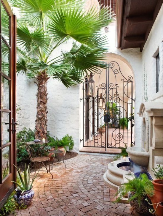 palm trees create a mediterranean garden plant ideas inner courtyard design