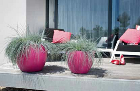 terrace design ideas mediterranean flair exotic tub plants
