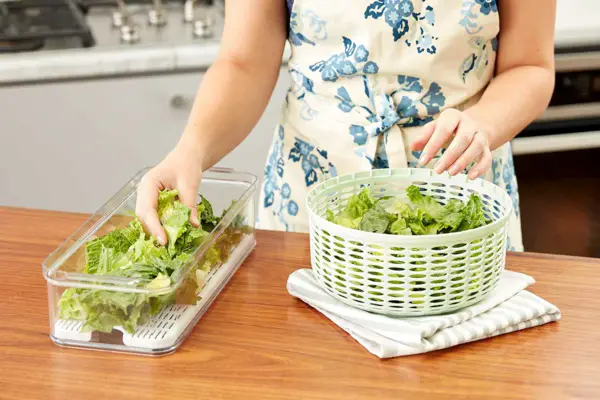 1651304255 630 Store salad best insider tips plus recipe for green salad - Store salad: best insider tips plus recipe for green salad with avocado