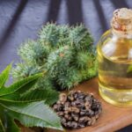 Castor oil for beautiful skin and hair How to enrich 150x150 - Pegane Nutrition - The latest food trend is a combination of Paleo and Vegan