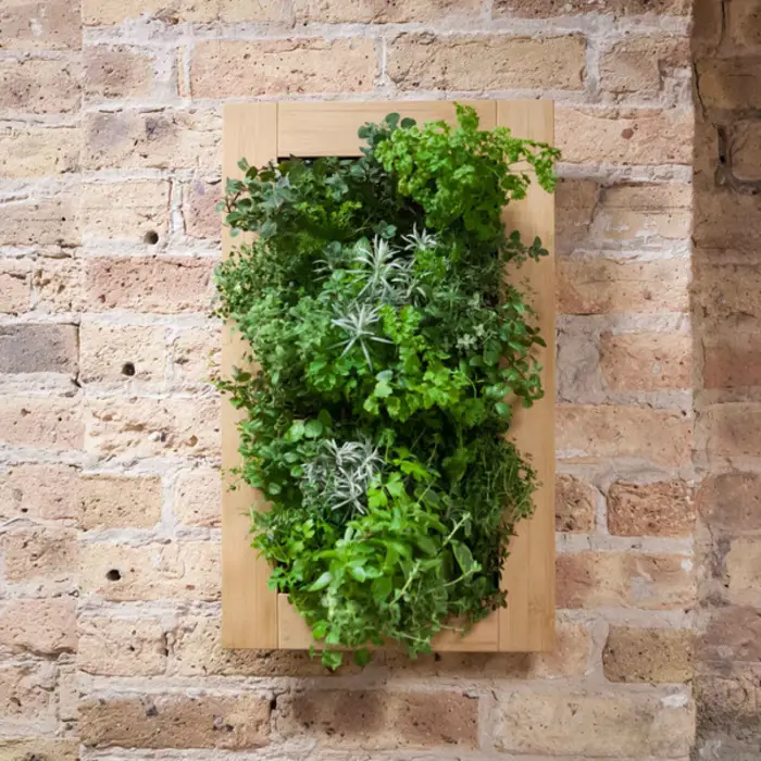 Green walls create lush vertical gardens for your home - Green walls - create lush, vertical gardens for your home