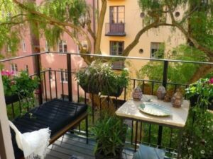 Plant the balcony These tips will save you from disappointment 300x225 - Plant the balcony: These tips will save you from disappointment
