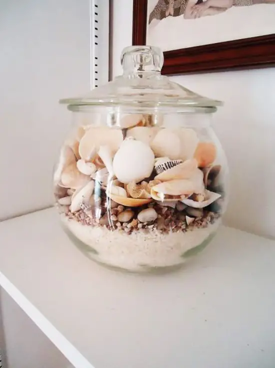 Summer decoration with shells bring a holiday feeling into - Summer decoration with shells - bring a holiday feeling into your four walls