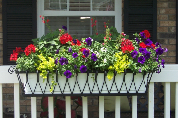 1651598548 437 Plant balcony boxes fresh ideas and useful tips - Plant balcony boxes - fresh ideas and useful tips