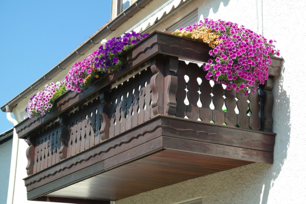 1651598551 243 Plant balcony boxes fresh ideas and useful tips - Plant balcony boxes - fresh ideas and useful tips