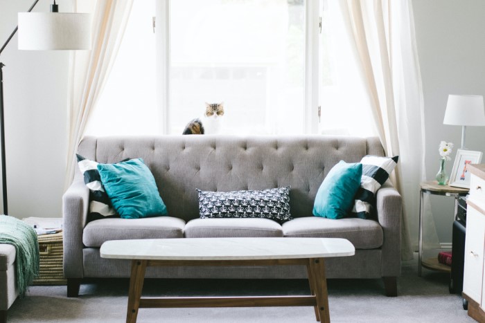 1651611575 610 This is how you can clean your fabric sofa – - This is how you can clean your fabric sofa – effective means from your own home