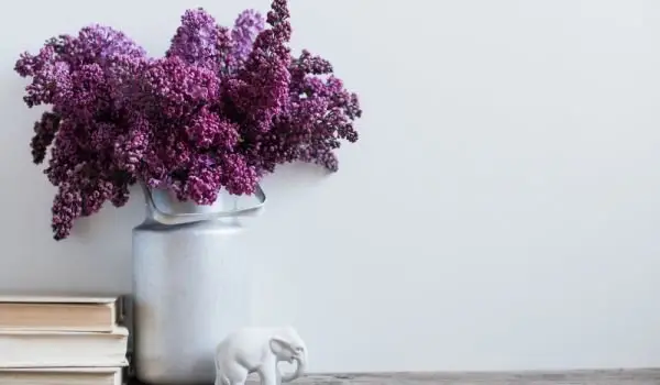 1651697643 355 How can lilacs last long in the vase - How can lilacs last long in the vase?