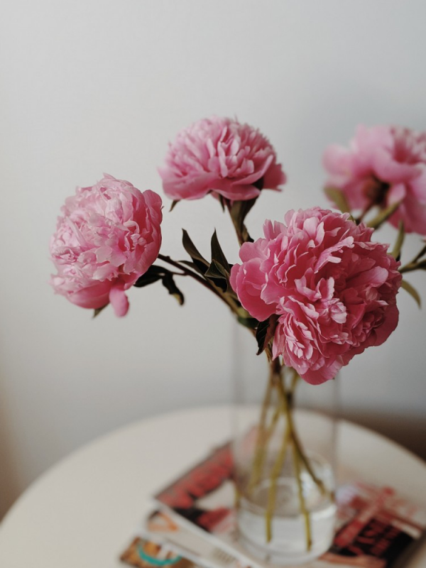 1651747420 53 Peonies in the vase and how to extend their shelf - Peonies in the vase and how to extend their shelf life