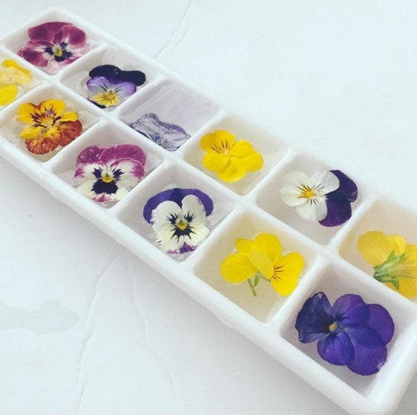 1651751809 369 10 edible flowers for a very special culinary experience - 10 edible flowers for a very special culinary experience!