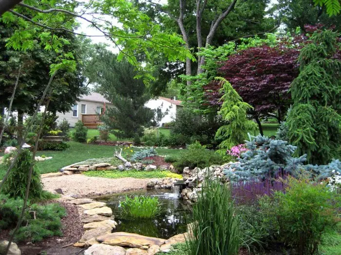 1651786916 541 Create a rock garden and enjoy a natural and attractive - Create a rock garden and enjoy a natural and attractive garden design
