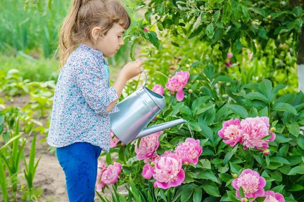1652130825 116 Watering potted plants The most important rules for beginners and - Watering potted plants: The most important rules for beginners and professionals!