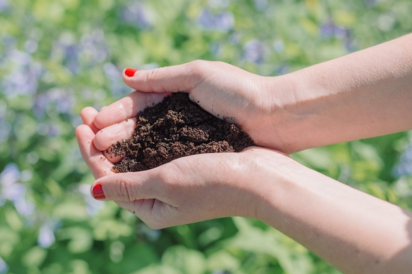 1652191751 292 How can you use coffee grounds as flower fertilizer – - How can you use coffee grounds as flower fertilizer?  – Find out here!