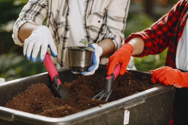 1652191752 403 How can you use coffee grounds as flower fertilizer – - How can you use coffee grounds as flower fertilizer?  – Find out here!