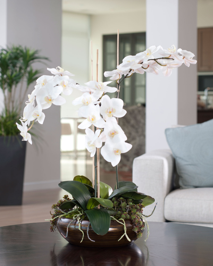 1652266812 883 Caring for orchids properly the most important care tips - Caring for orchids properly - the most important care tips for exotic beauties