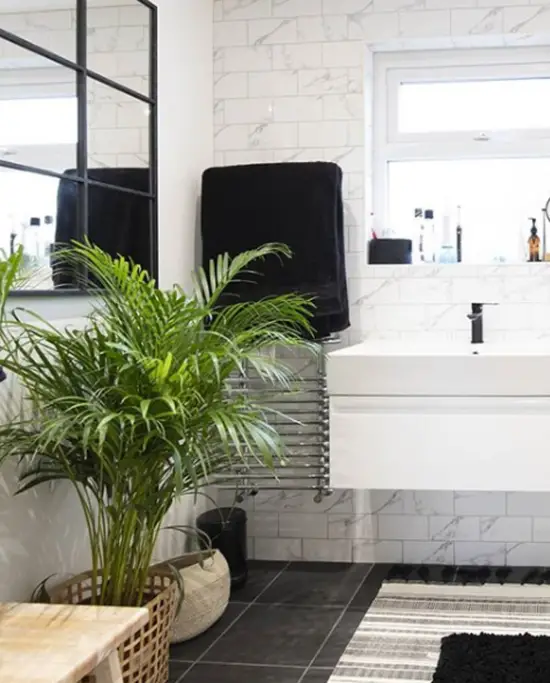1652270869 990 Plants for the bathroom transform it into a green oasis - Plants for the bathroom transform it into a green oasis