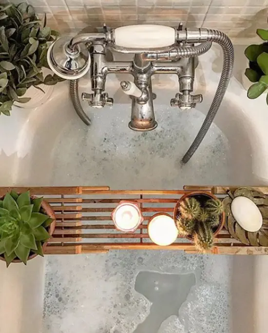 1652270875 229 Plants for the bathroom transform it into a green oasis - Plants for the bathroom transform it into a green oasis