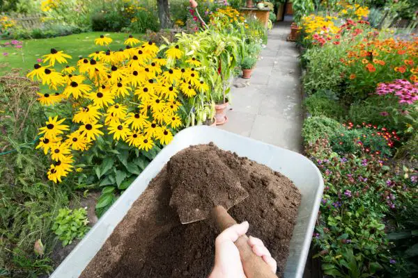 1652274508 672 Gardening cheaply save time and money with the following tips - Gardening cheaply: save time and money with the following tips!