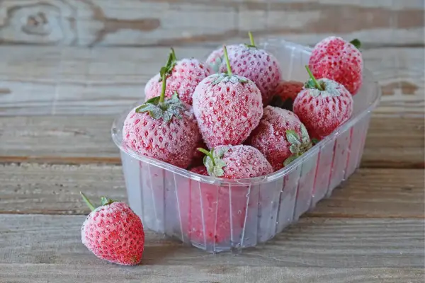 1652278171 981 Storing freezing drying strawberries – tips for long lasting freshness - Storing, freezing, drying strawberries – tips for long-lasting freshness