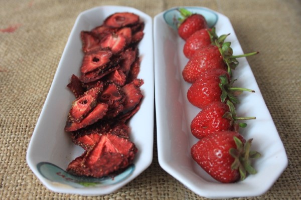 1652278173 102 Storing freezing drying strawberries – tips for long lasting freshness - Storing, freezing, drying strawberries – tips for long-lasting freshness