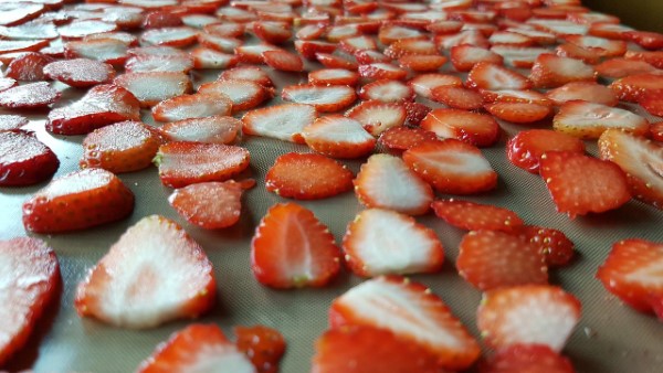1652278173 893 Storing freezing drying strawberries – tips for long lasting freshness - Storing, freezing, drying strawberries – tips for long-lasting freshness