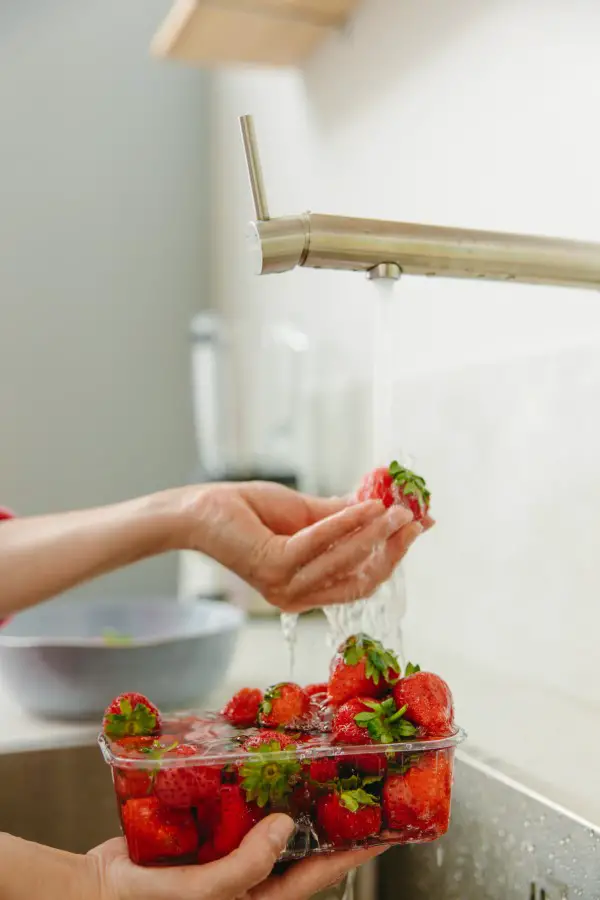 1652278175 77 Storing freezing drying strawberries – tips for long lasting freshness - Storing, freezing, drying strawberries – tips for long-lasting freshness