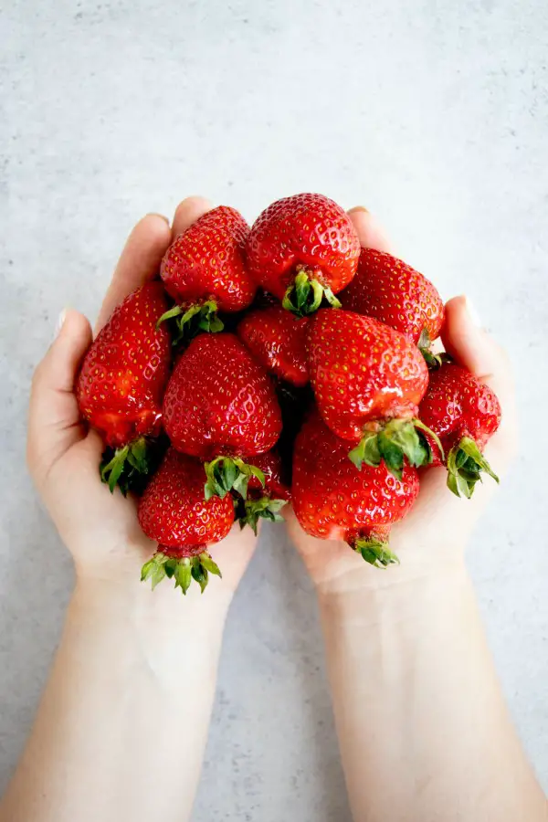 1652278177 346 Storing freezing drying strawberries – tips for long lasting freshness - Storing, freezing, drying strawberries – tips for long-lasting freshness