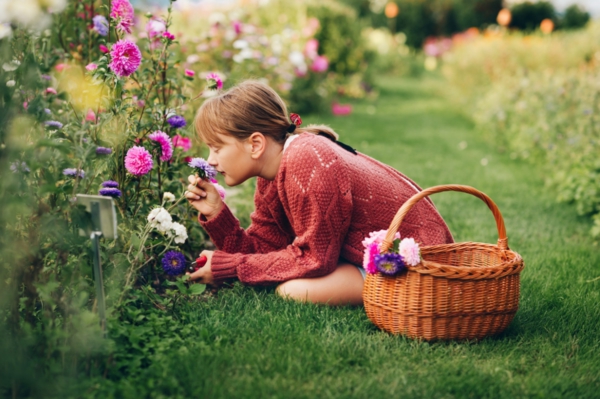 1652295365 19 Gardening in May tips and checklist for a better - Gardening in May - tips and checklist for a better overview