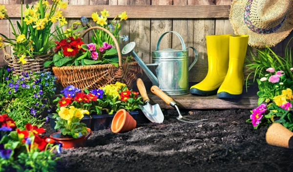 1652295366 936 Gardening in May tips and checklist for a better - Gardening in May - tips and checklist for a better overview