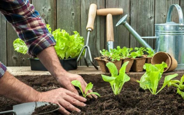 1652295368 977 Gardening in May tips and checklist for a better - Gardening in May - tips and checklist for a better overview