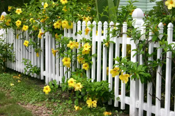 1652408126 614 42 creative garden fence ideas for more fun and privacy - 42 creative garden fence ideas for more fun and privacy